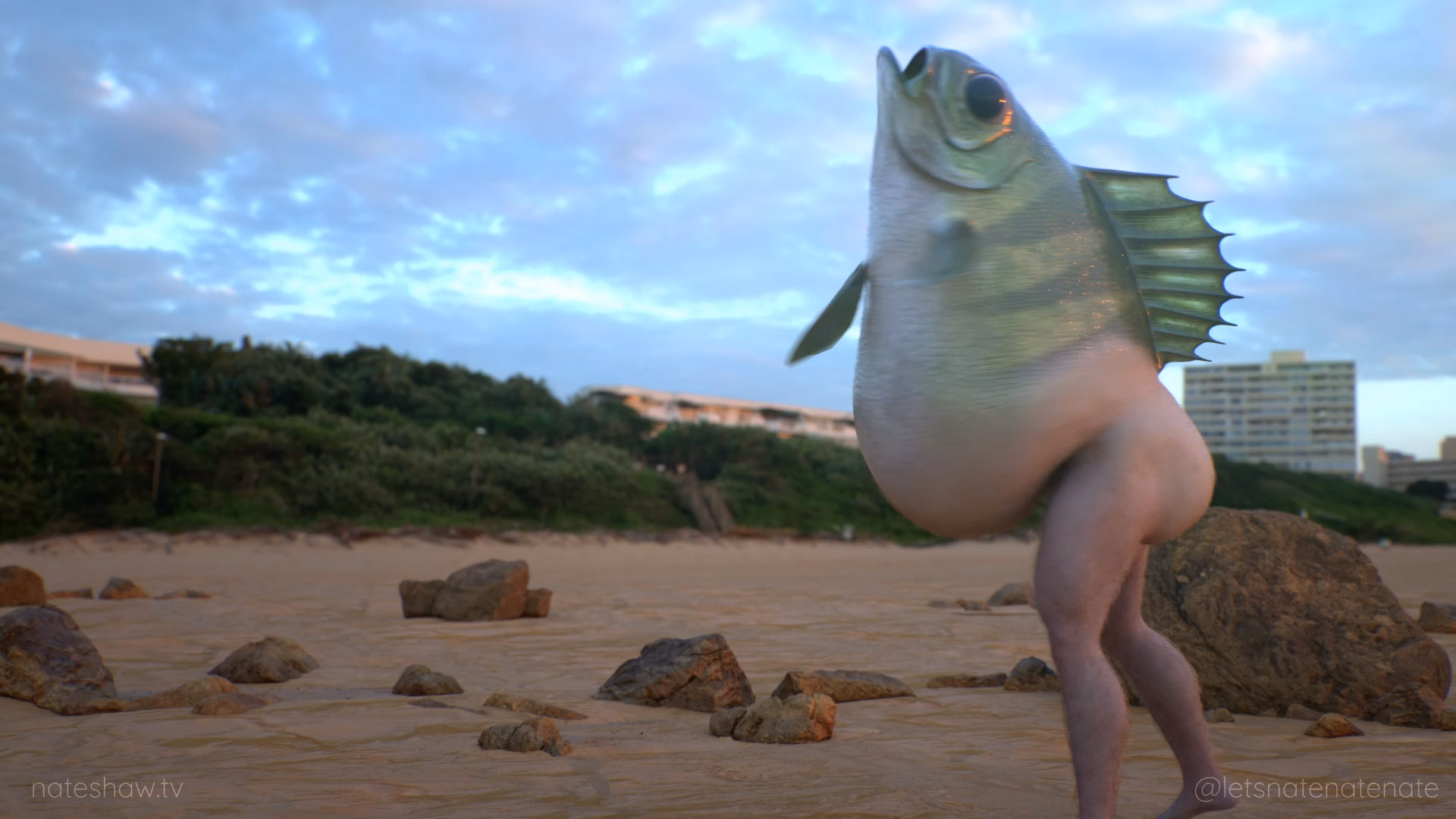 Beach Comber