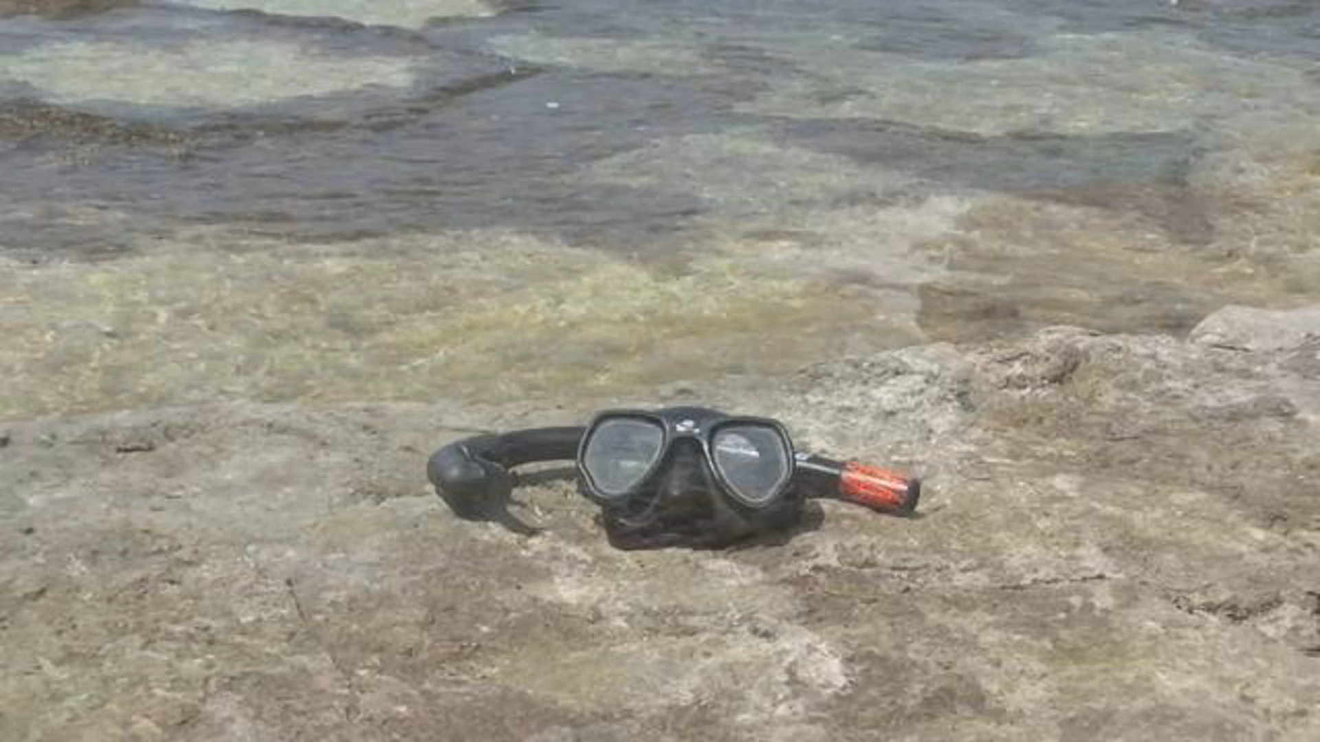 The beach