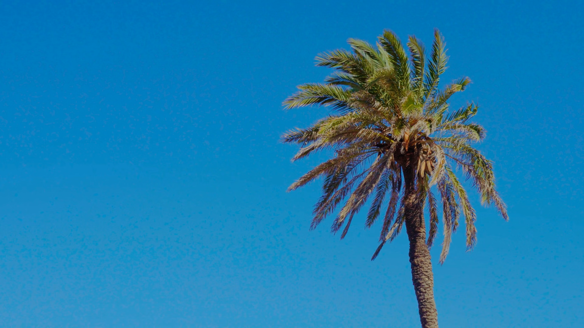 Barceloneta Beach
