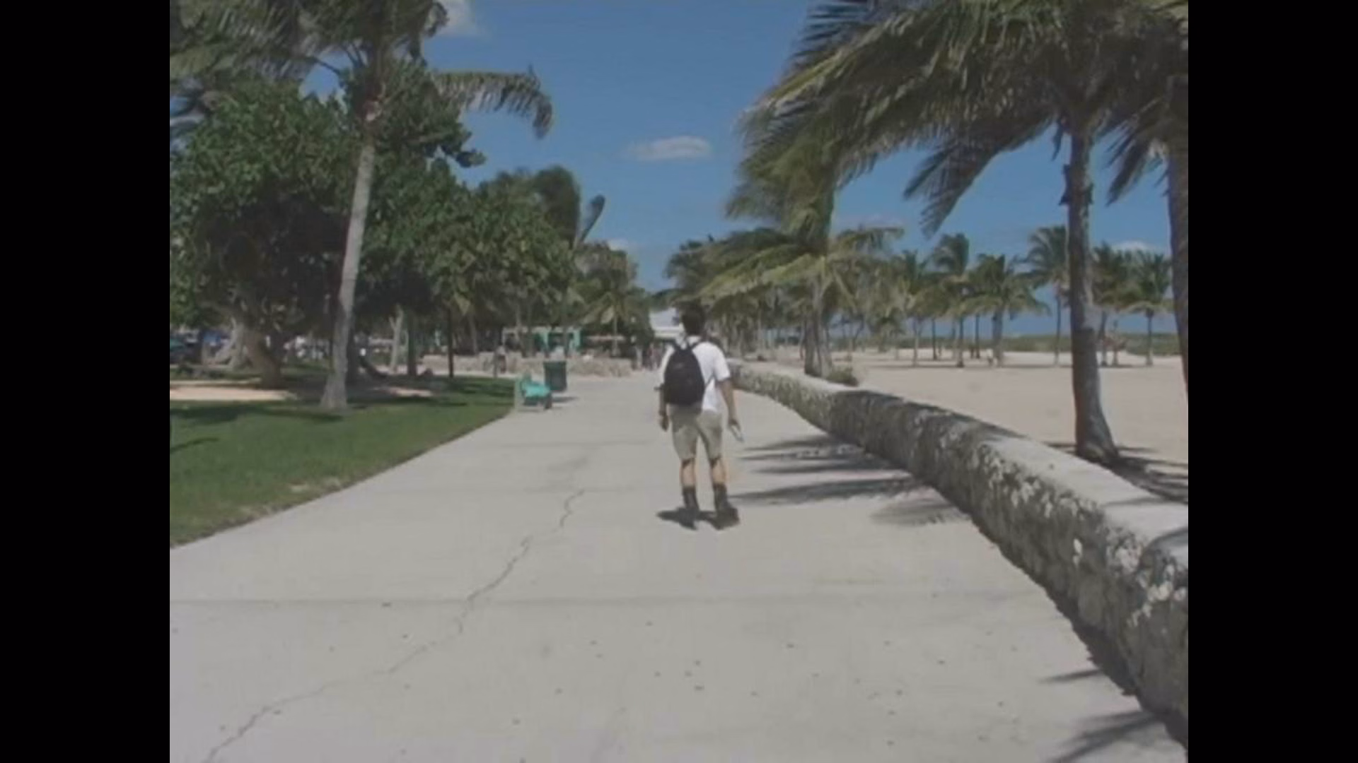 Beach Video