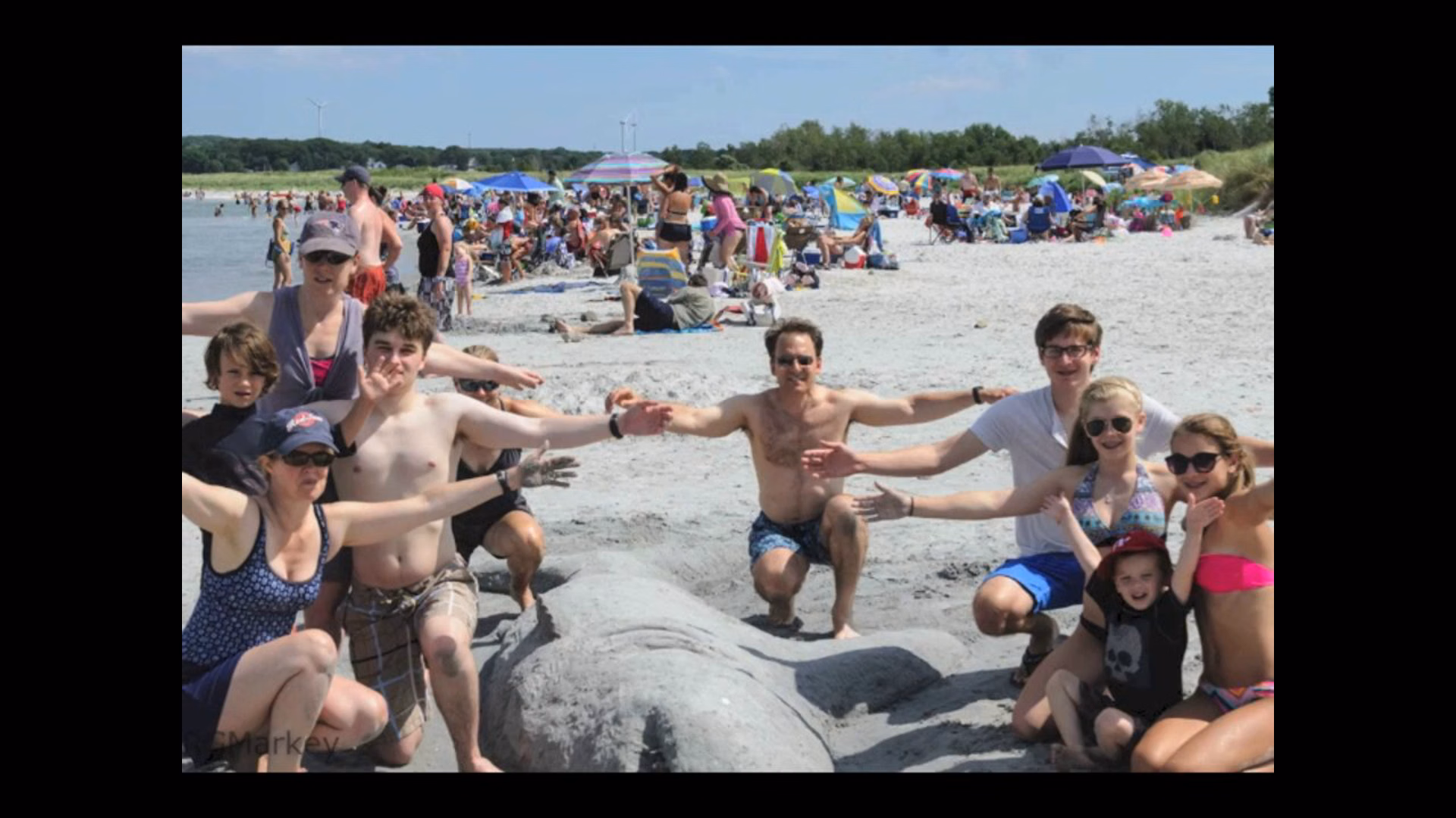 Beach Shark