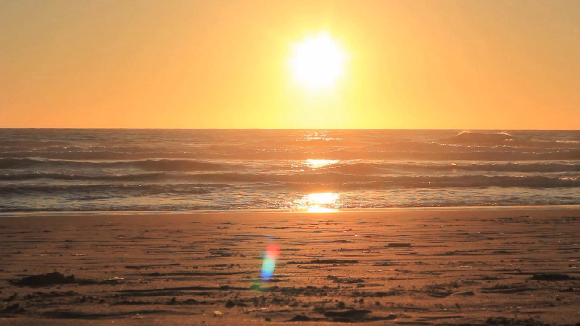 Ocean Beach