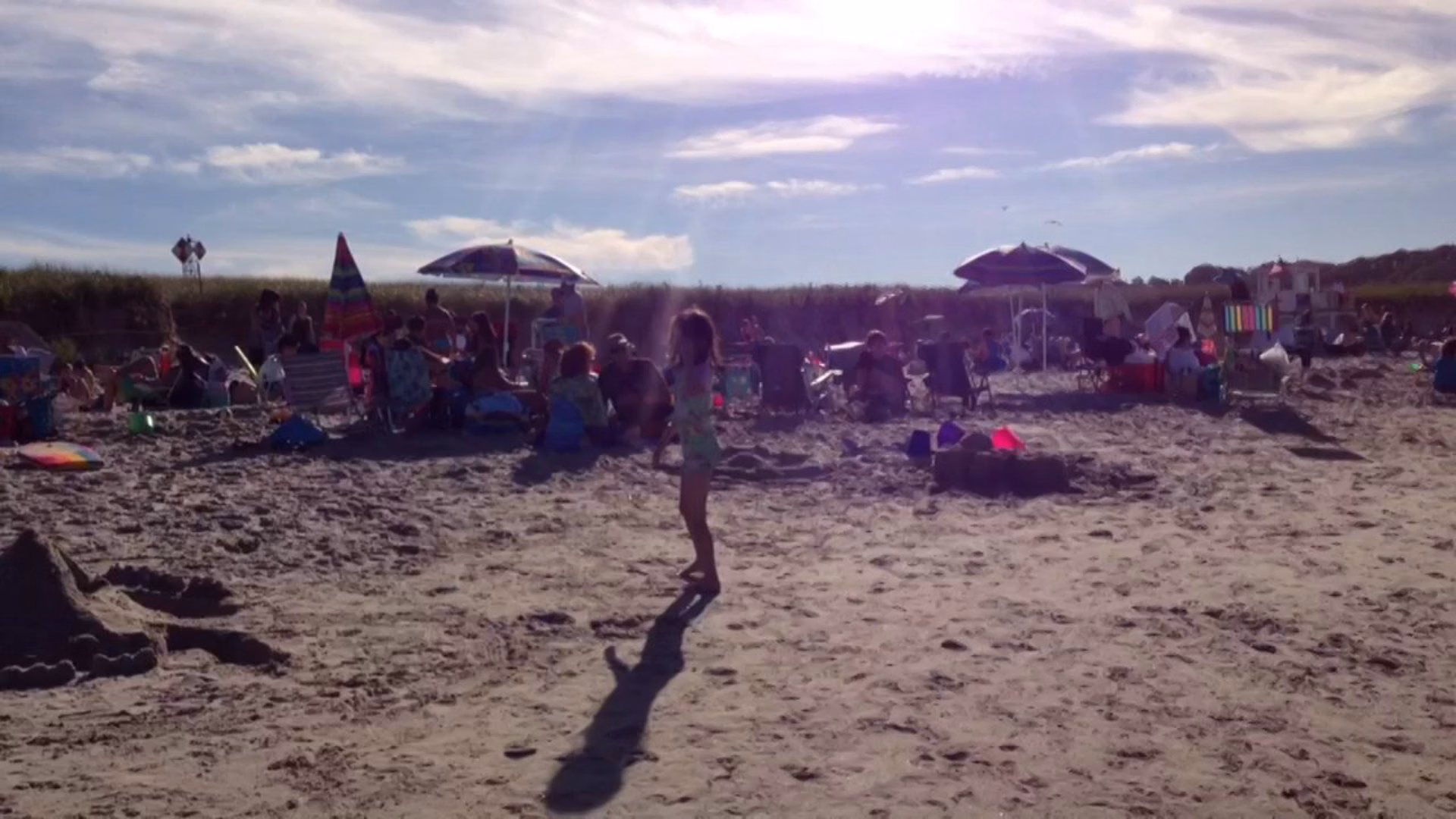 Crane Beach