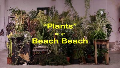 Beach Beach “Plants”