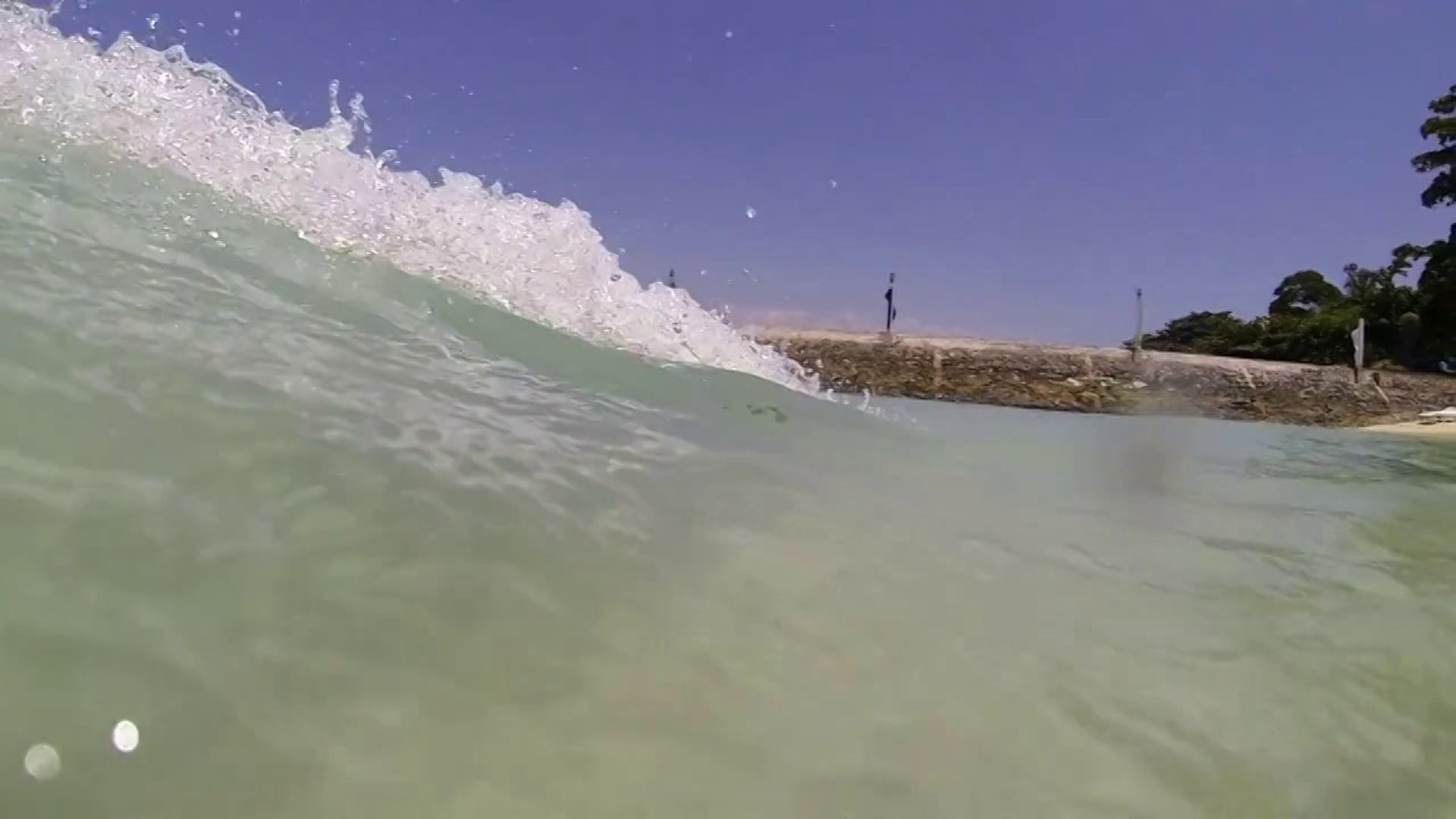 Beach Day