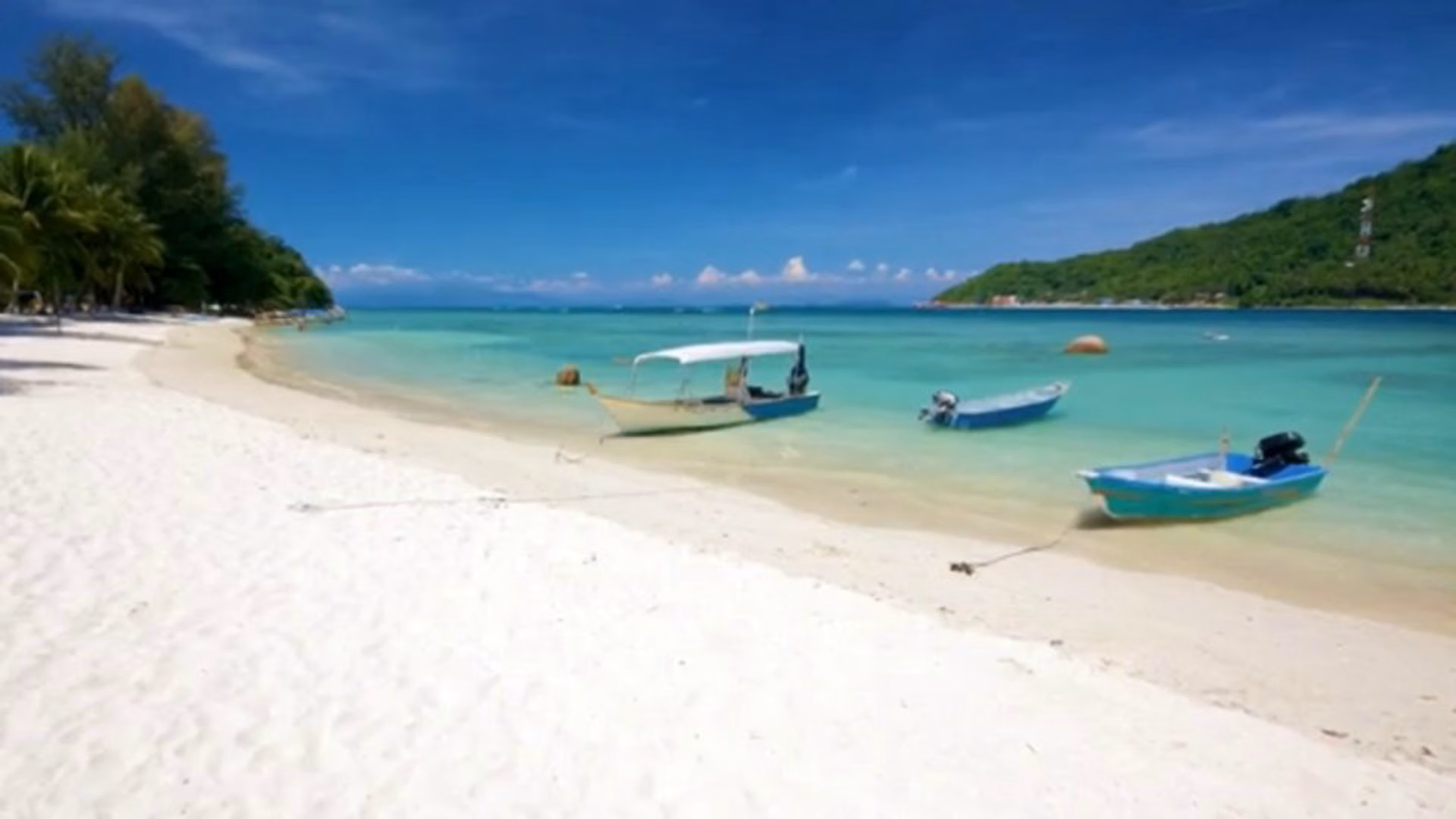The Beach