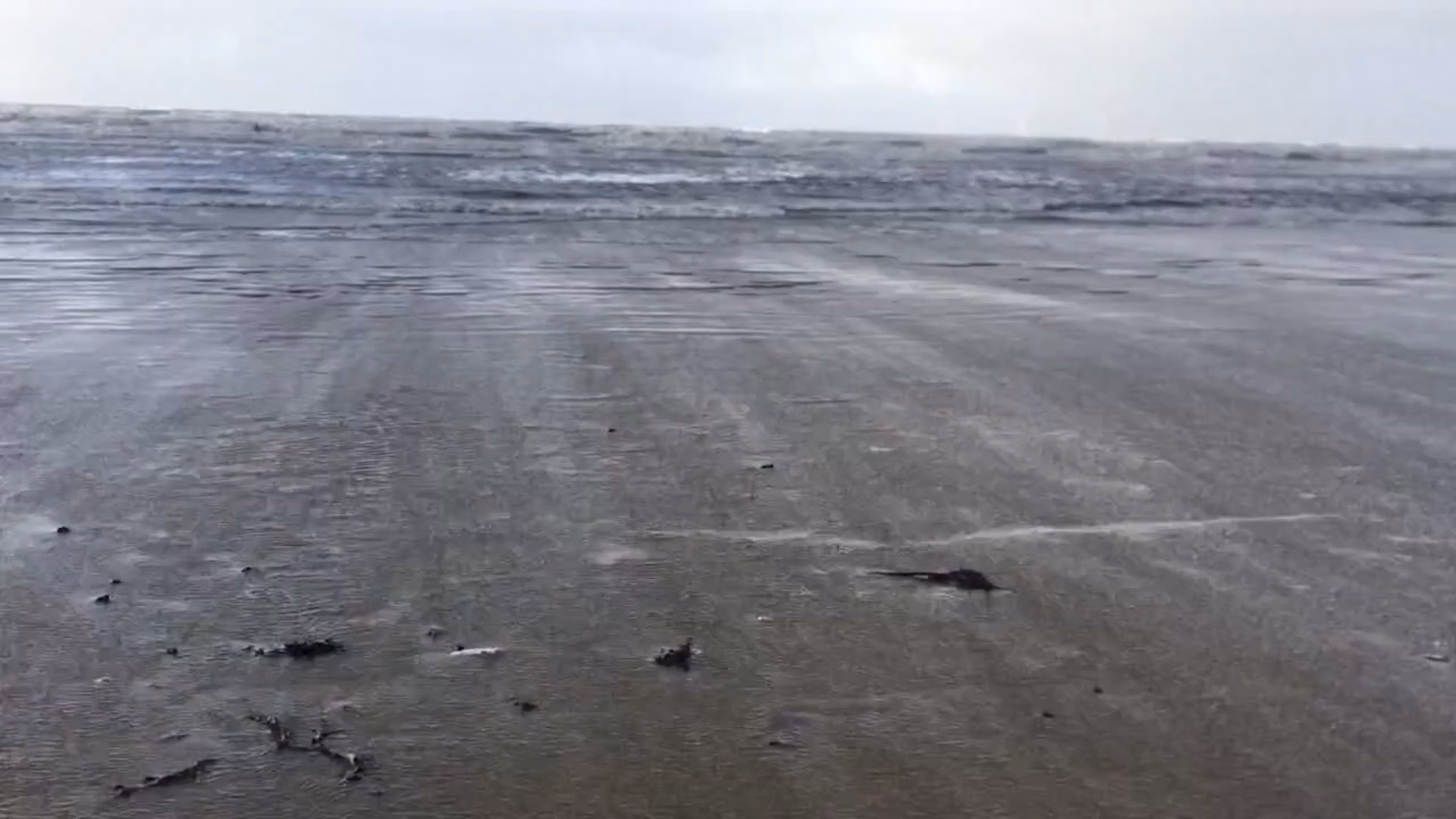 Crosby Beach