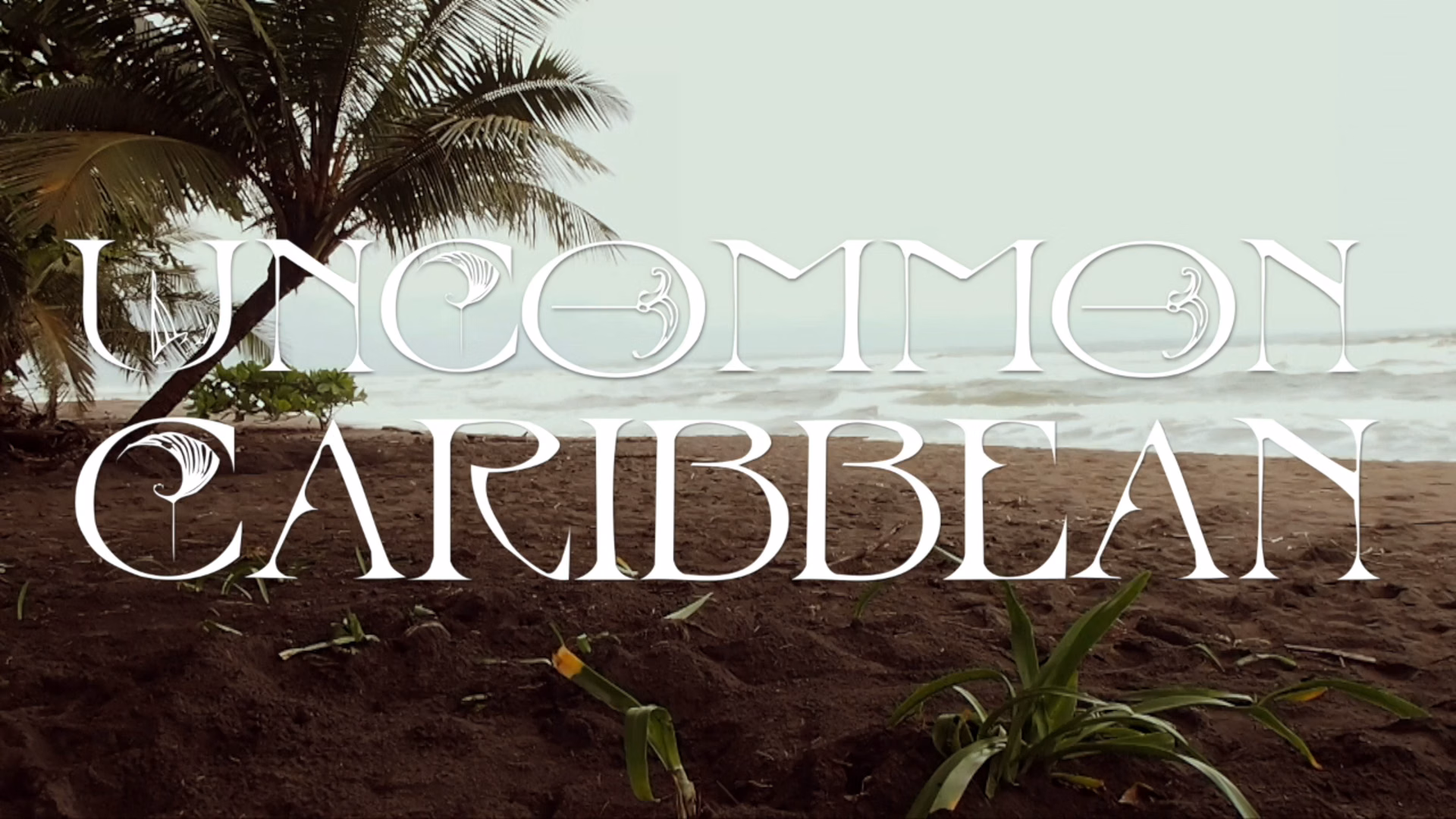 Tortuguero Beach