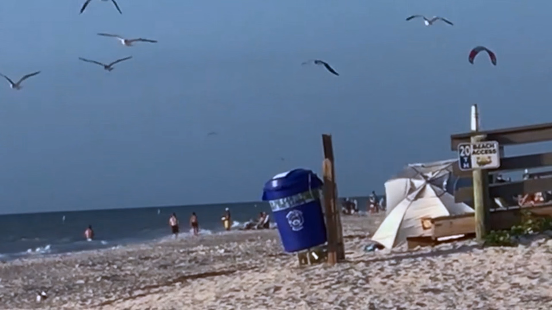 beach vid