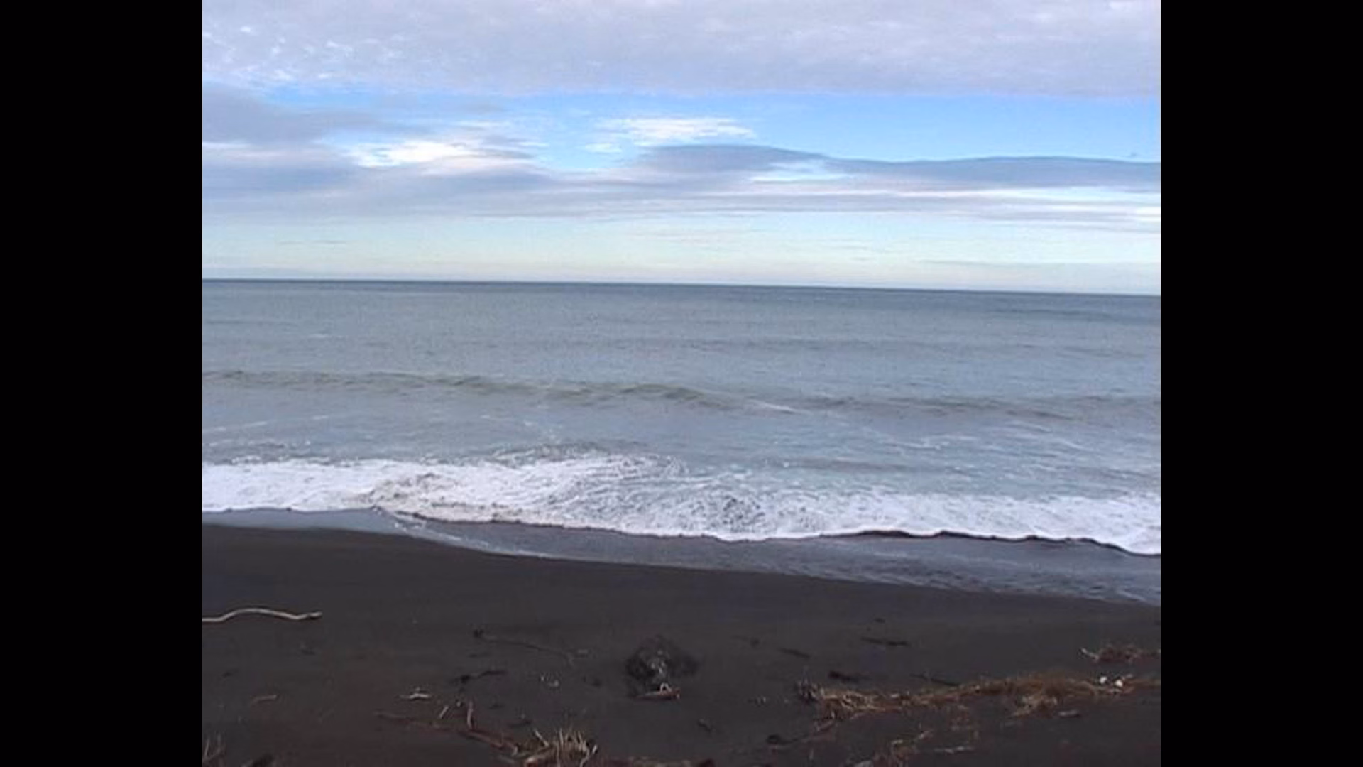 Palliser Beach