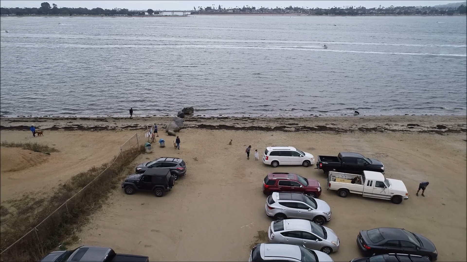 Dog Beach