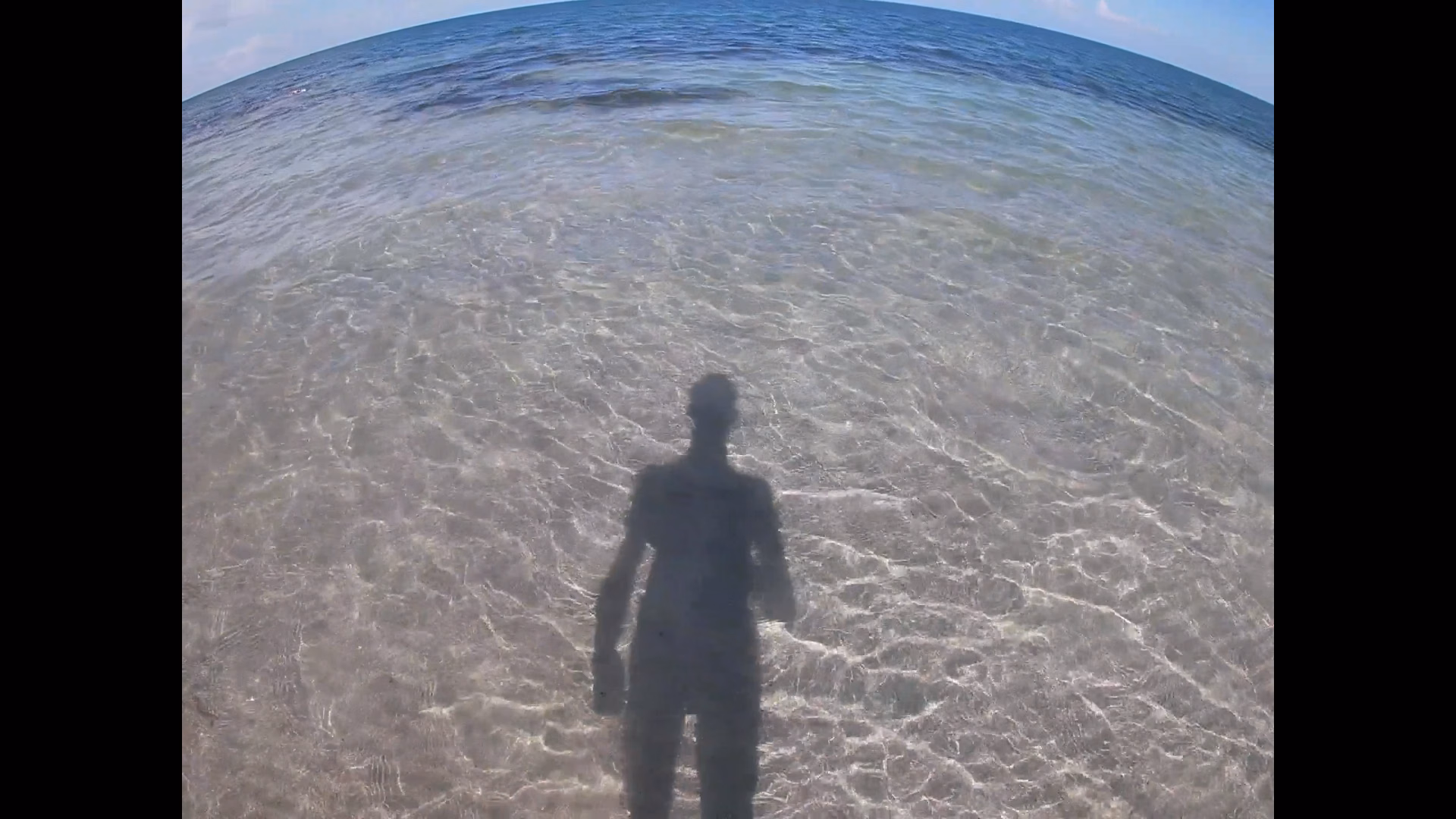Beach Day