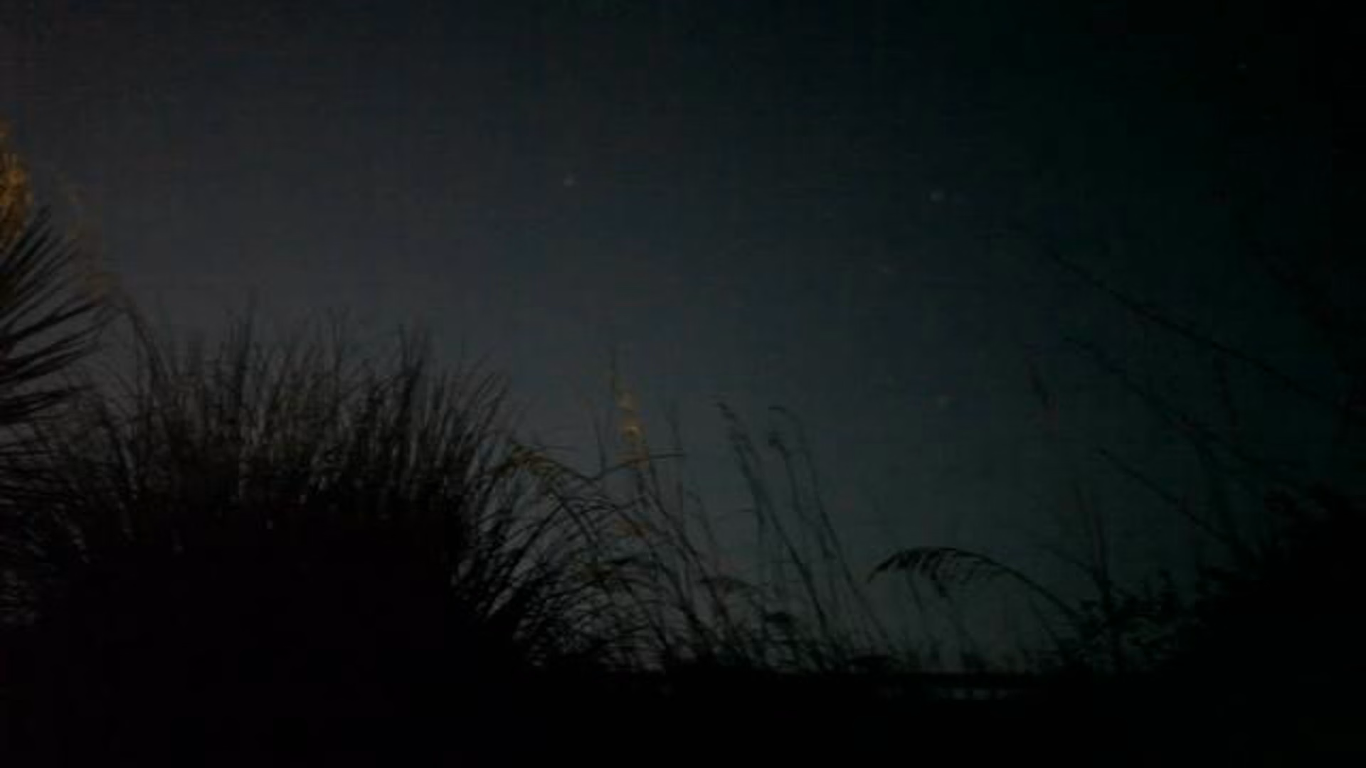 carolina beach