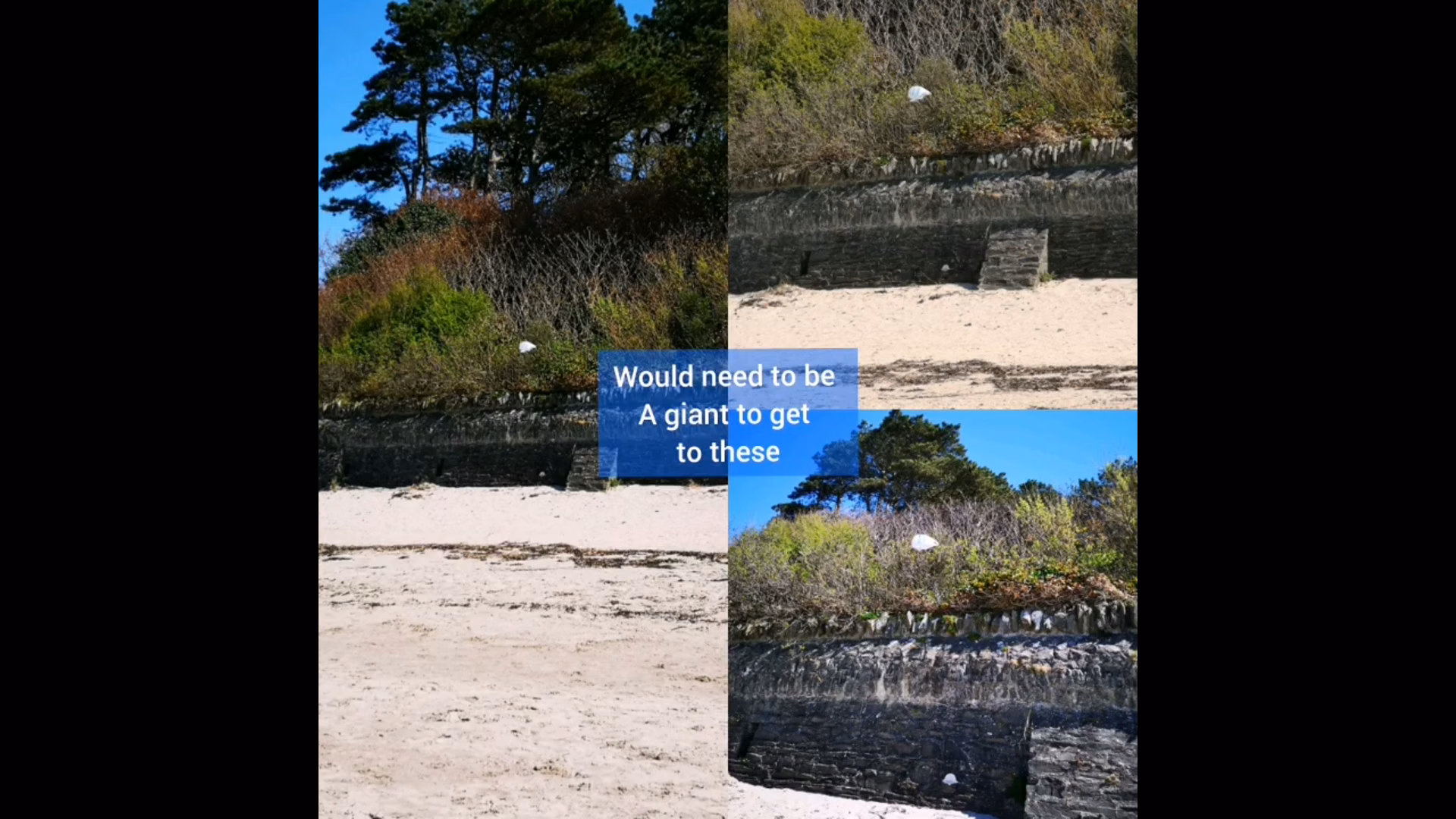 Beach clean
