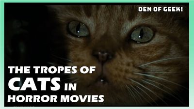 The Tropes Of Cats In Horror Movies