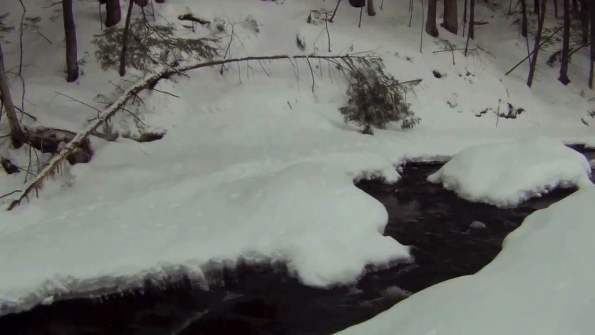Abbott’s Glen in Winter