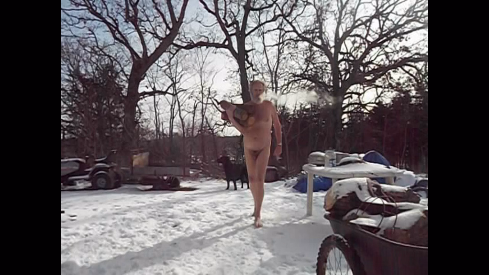 winter chores